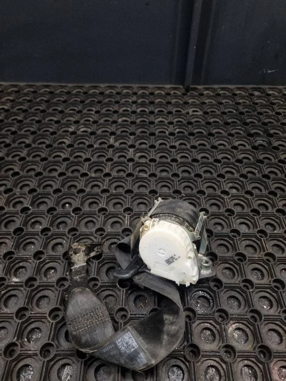 Rear seatbelt 33048191