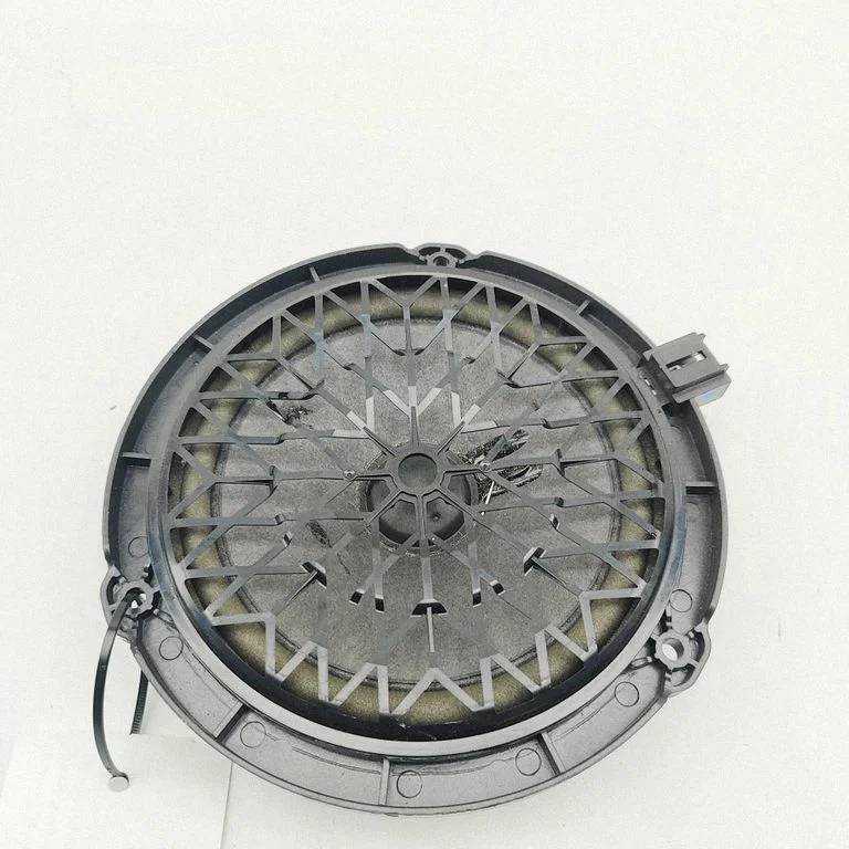 Tagaukse kõlar(id) 9809320180