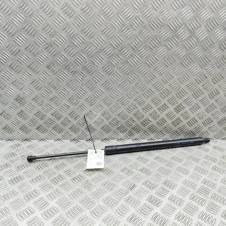Tagaluugi gaasiamortisaator 9813193480