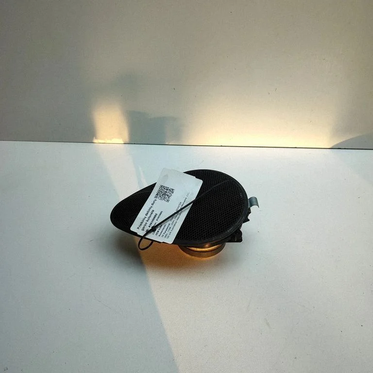 Front door speaker – right