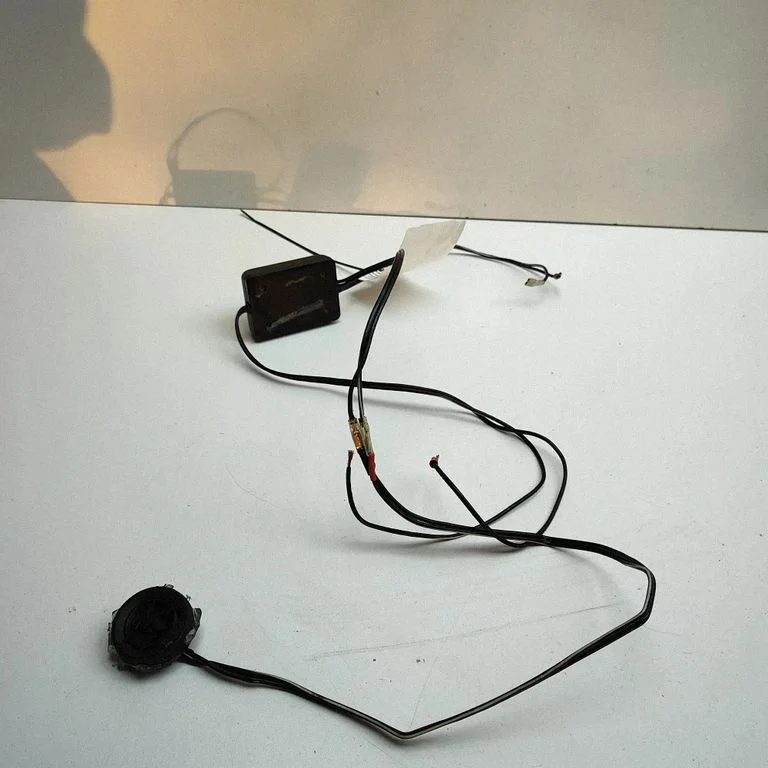 Front door speaker – left