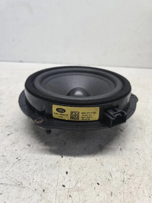 Front door speaker BJ3218808CE