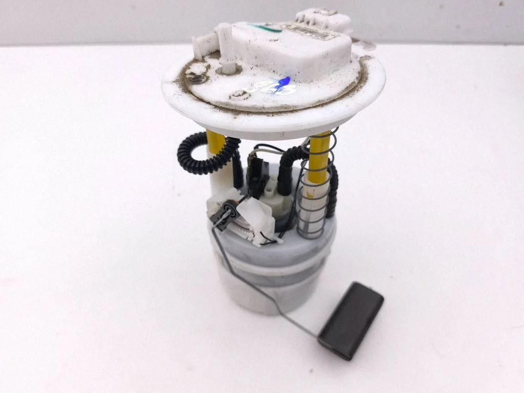 In-tank fuel pump 100123578AB