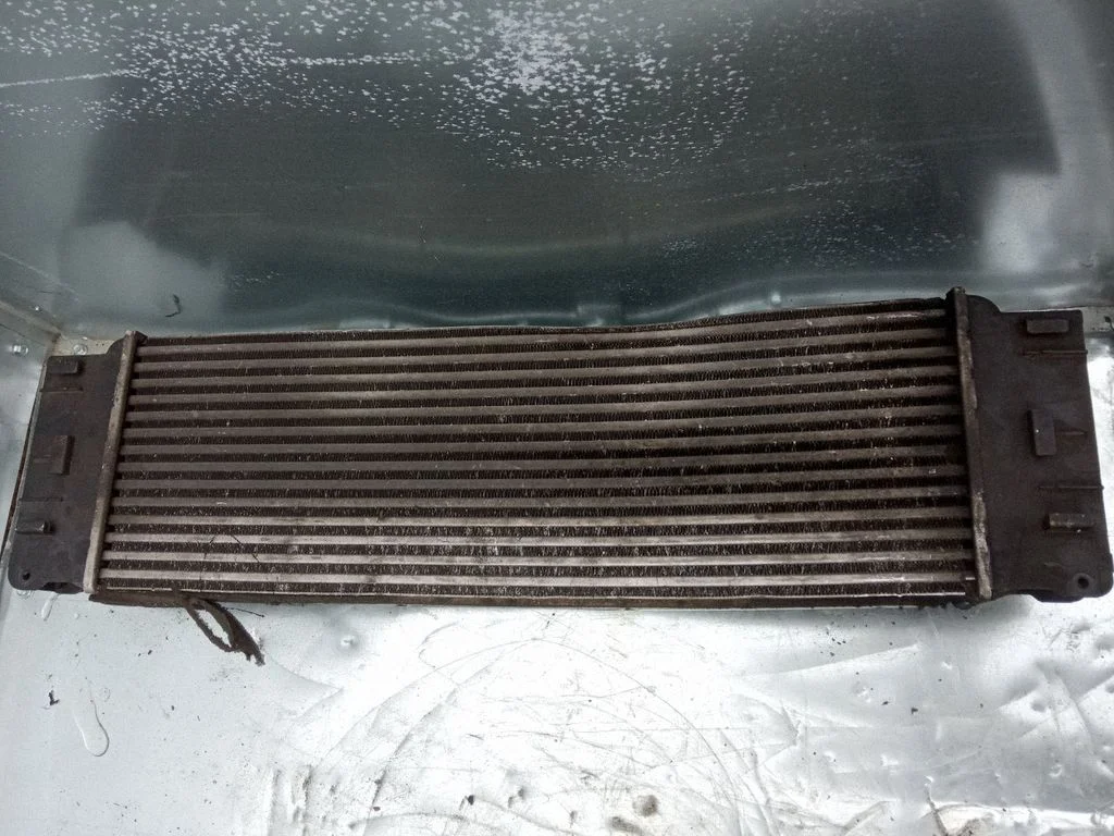 Intercooler radiator A9065010101