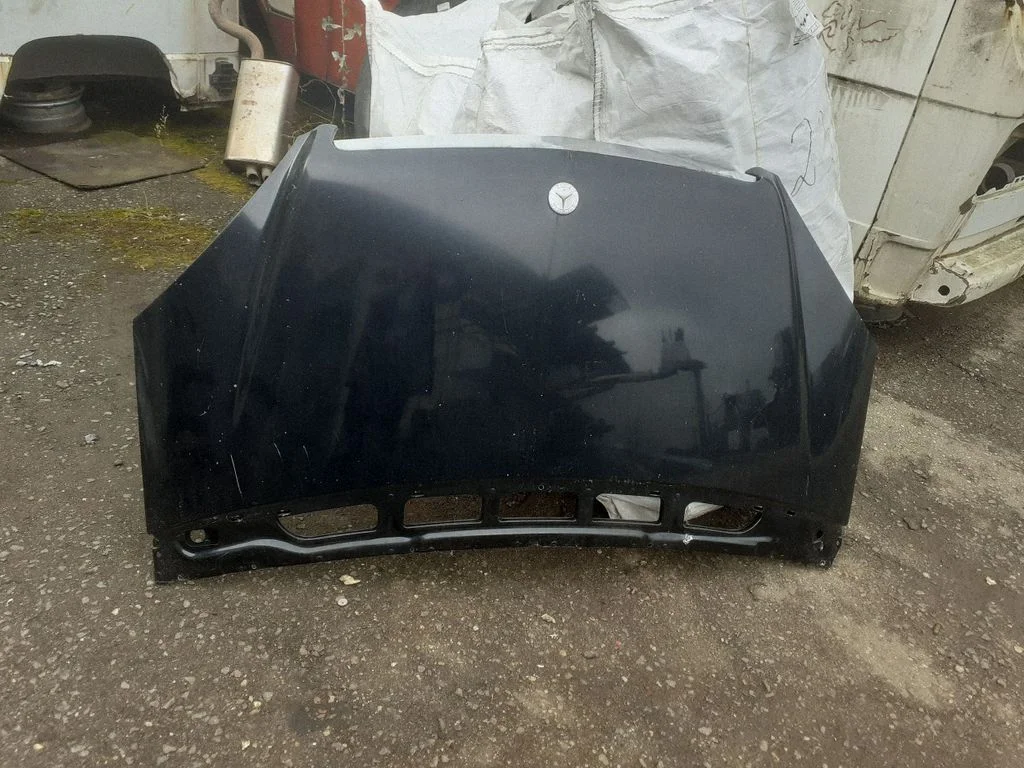 Engine bonnet/hood A1698870116