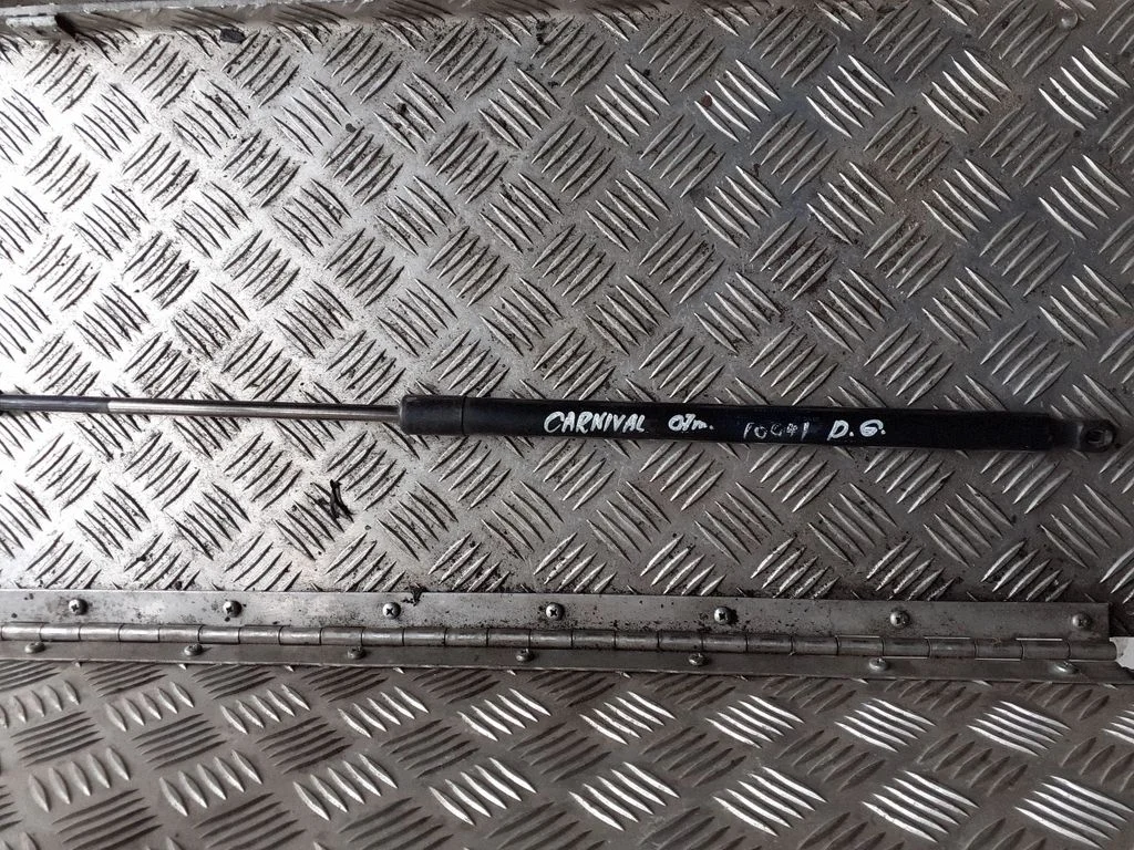 Tailgate/trunk strut/damper