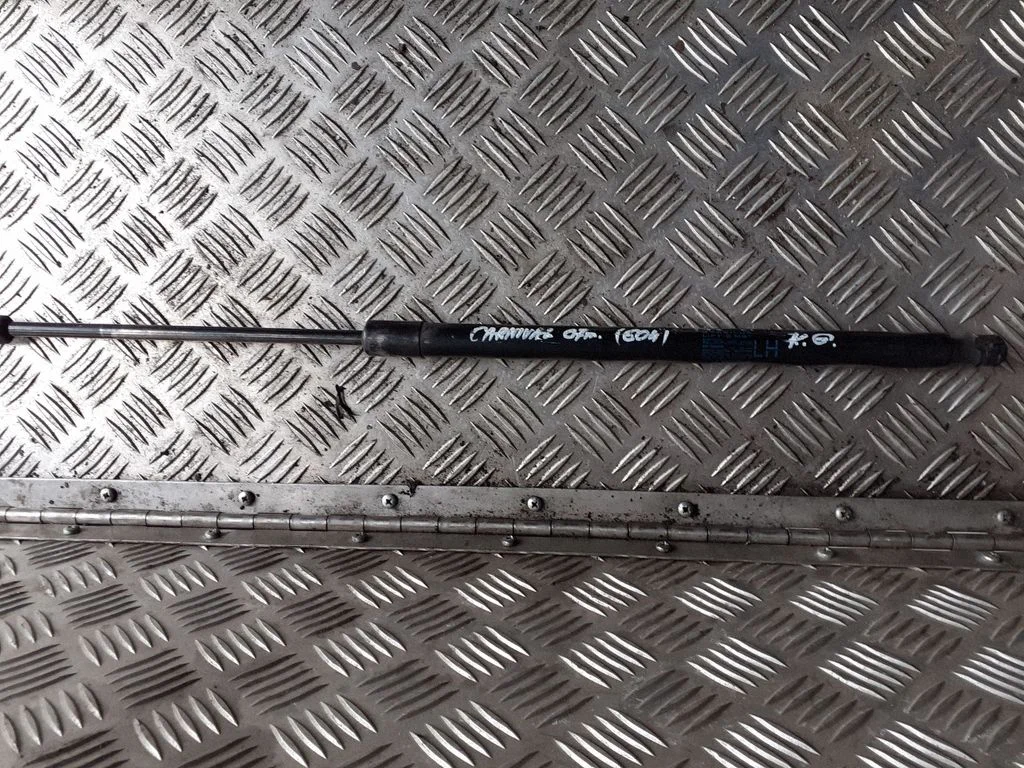 Tailgate/trunk strut/damper