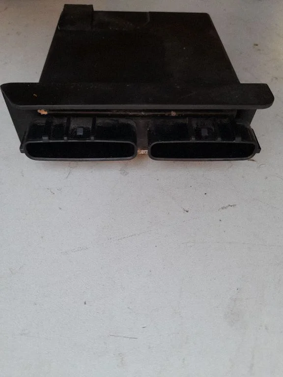 Injection control unit/module 1310001164