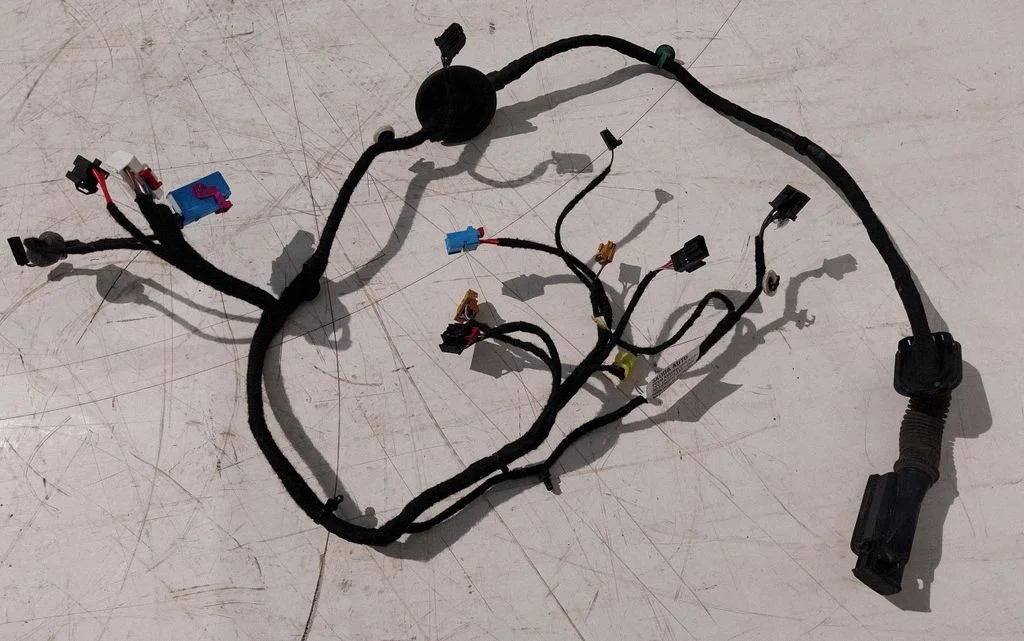 Front door wiring loom FRONTLEFT
