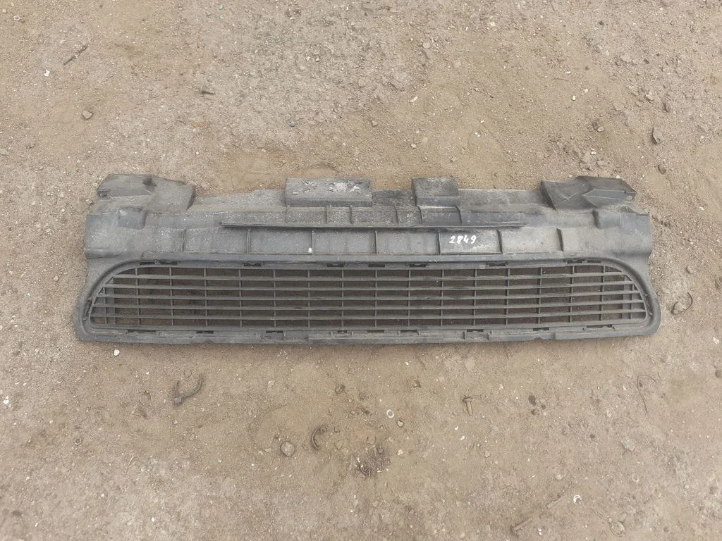 Front grill A1698850023