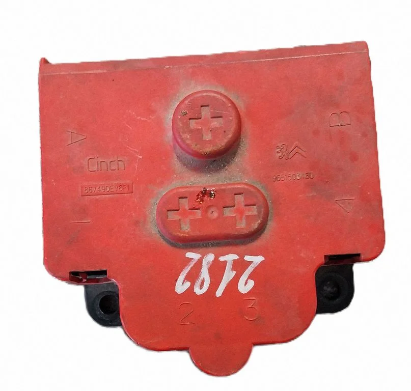 Positive wiring loom 9651503480