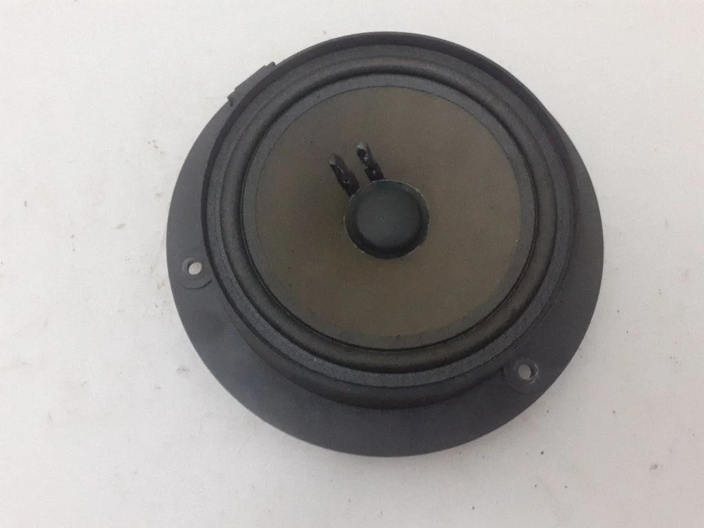 Rear door speaker ZGS00731805