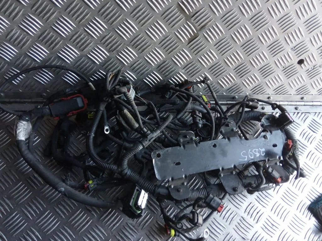 Other wiring loom