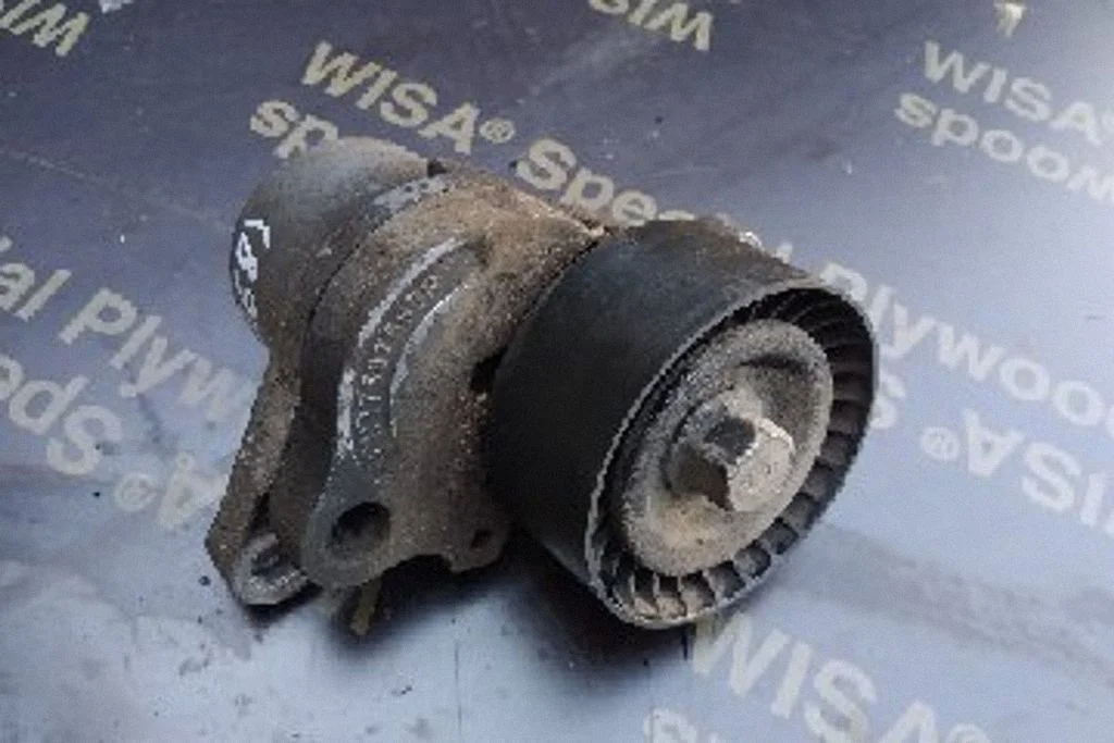 Napinacz paska alternatora 117507563R