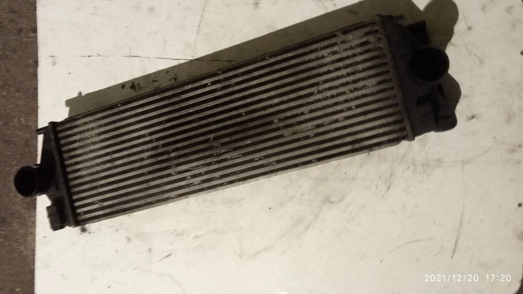 Intercooler radiator A9065010101