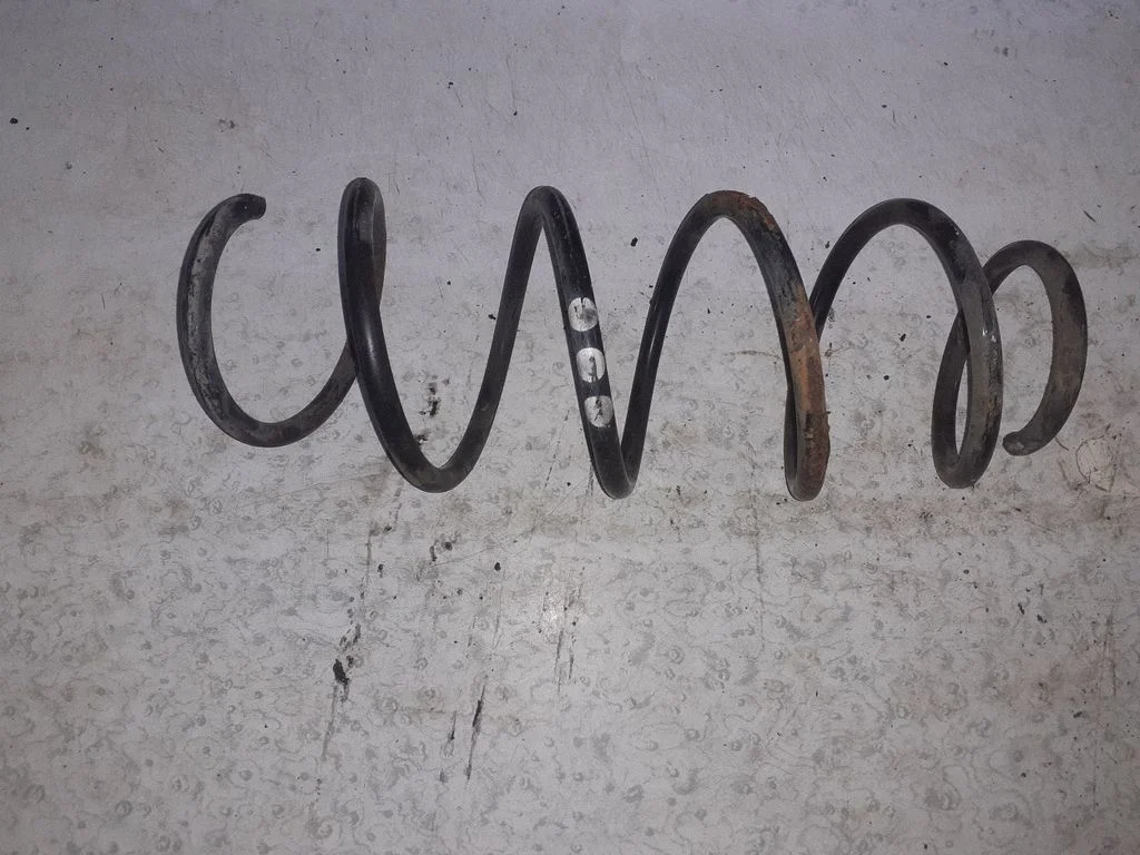 Front coil spring A1693212504