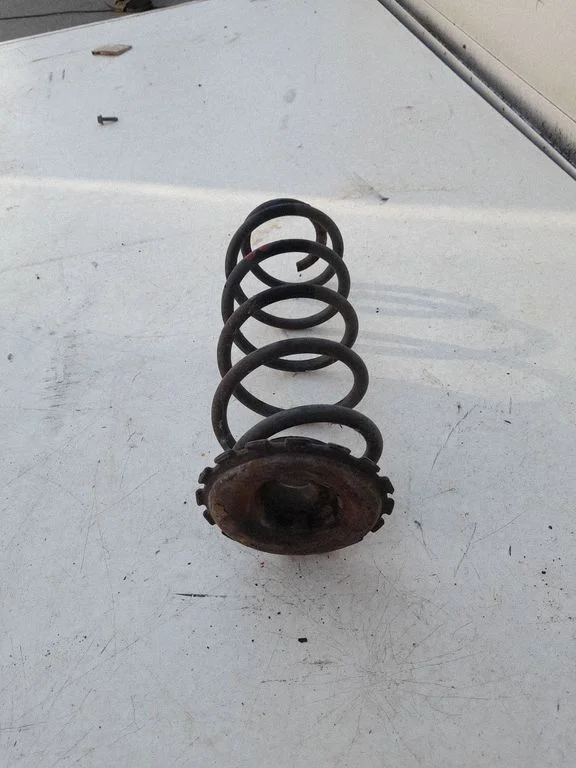 Rear coil spring A1693250384