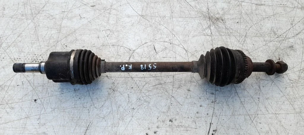 Priekšējā pusass 1495673