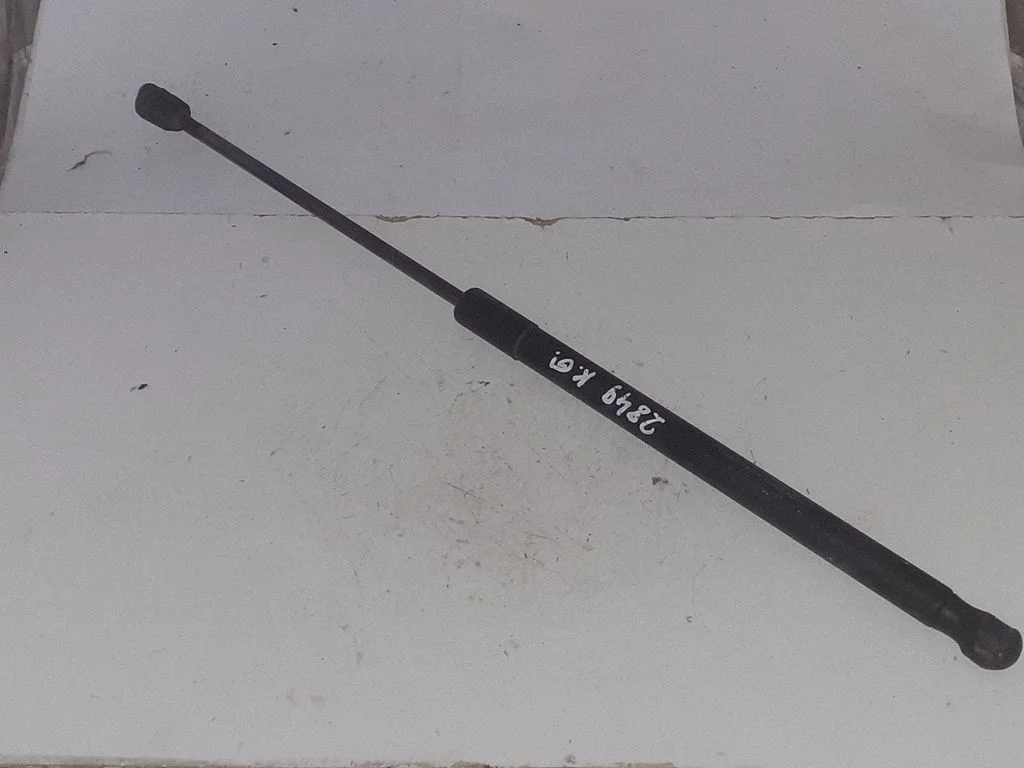 Tailgate/trunk strut/damper A1697400345