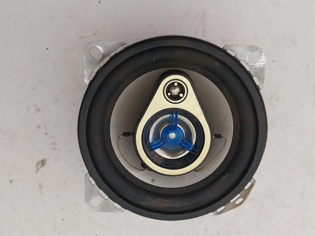 Front door speaker R2430V