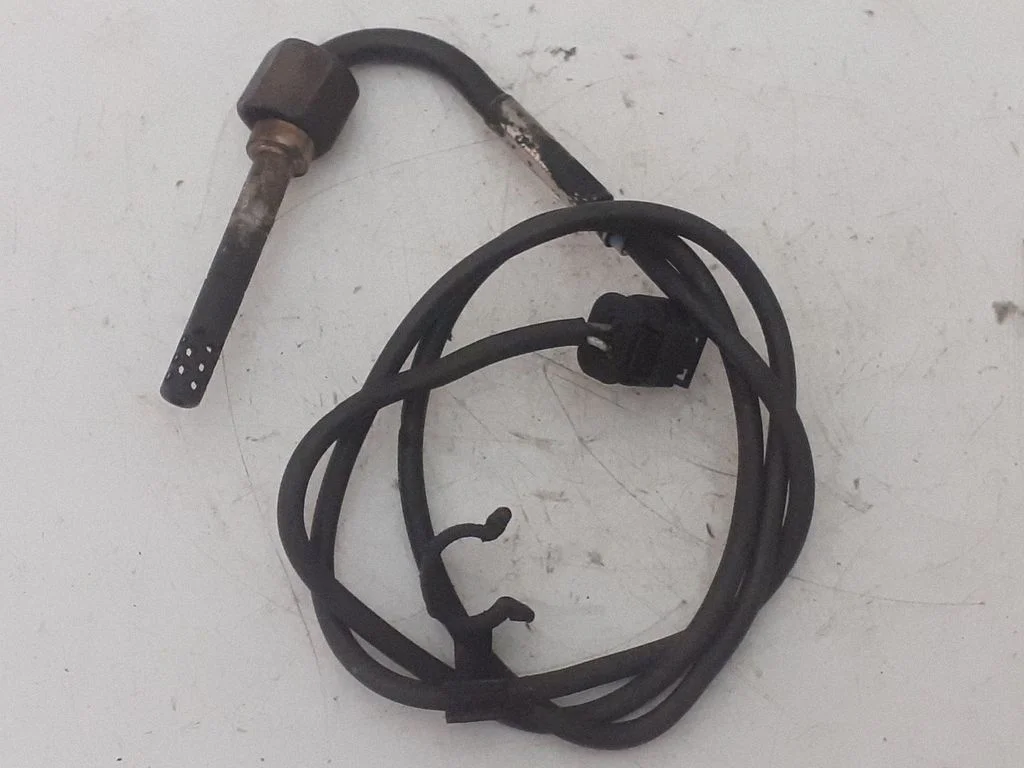 Heitgaasi temperatuuriandur A0051539228
