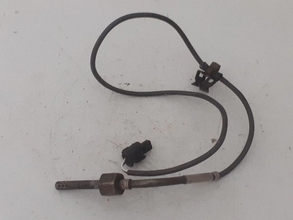 Heitgaasi temperatuuriandur A0051539128