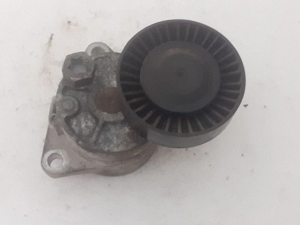 Napinacz paska alternatora 233588