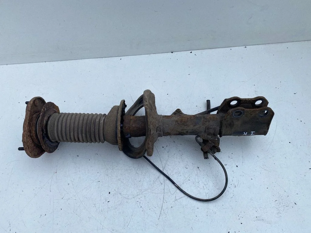 Front shock absorber/damper – left