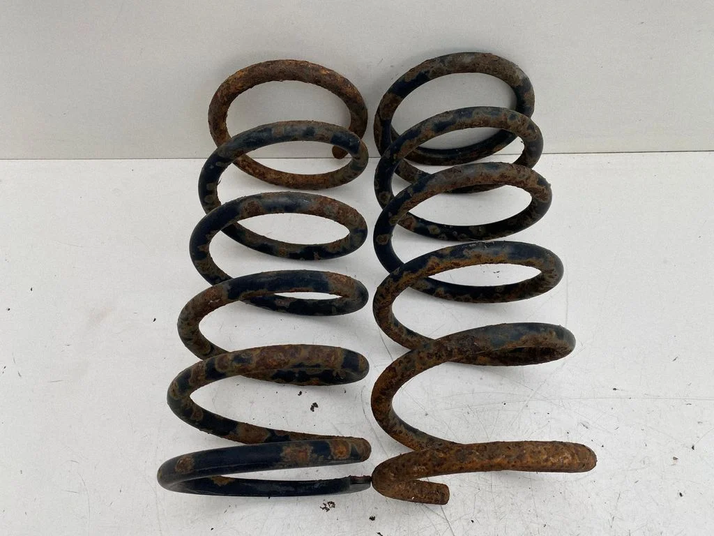 Rear coil spring
