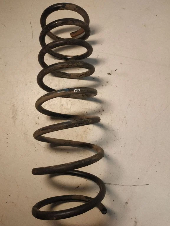 Rear coil spring