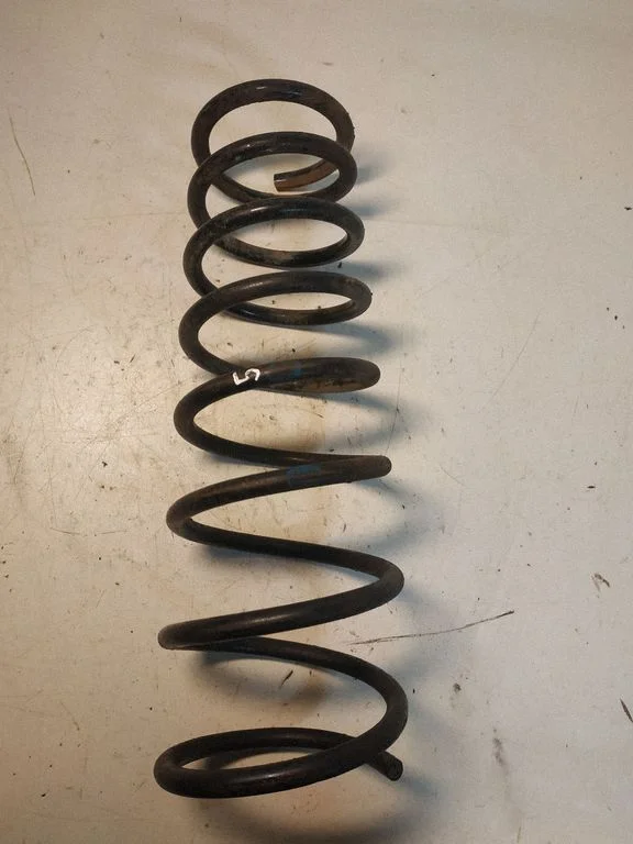 Rear coil spring