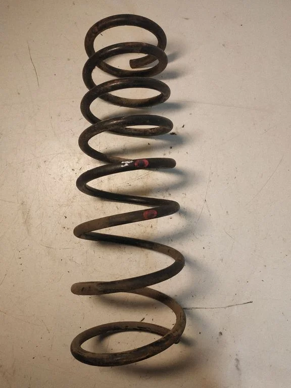 Rear coil spring