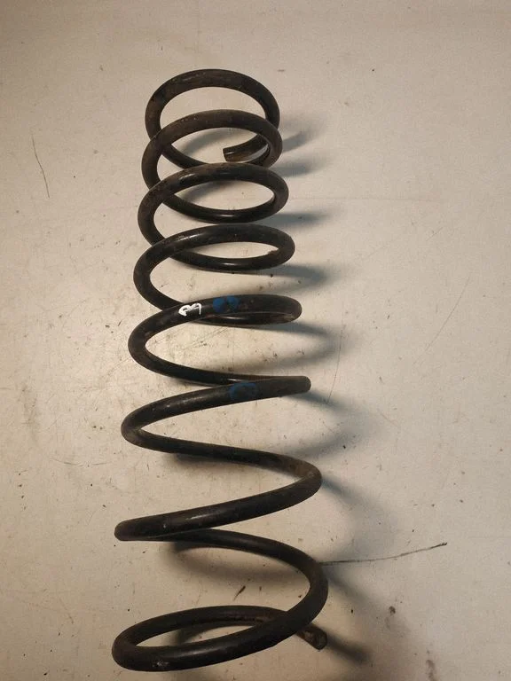 Rear coil spring
