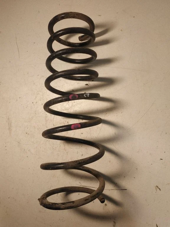 Rear coil spring