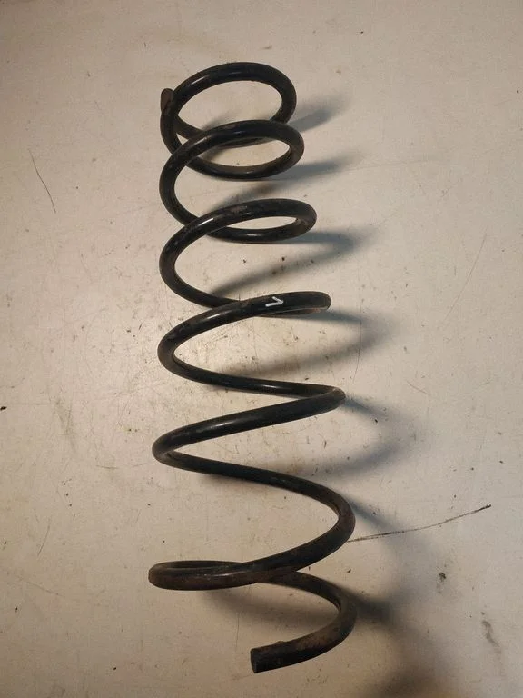 Rear coil spring