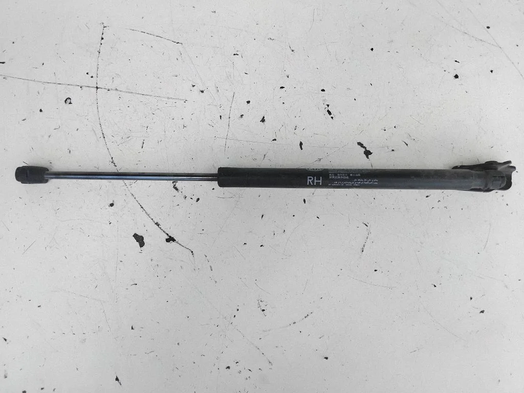 Tailgate/trunk strut/damper 817803W000