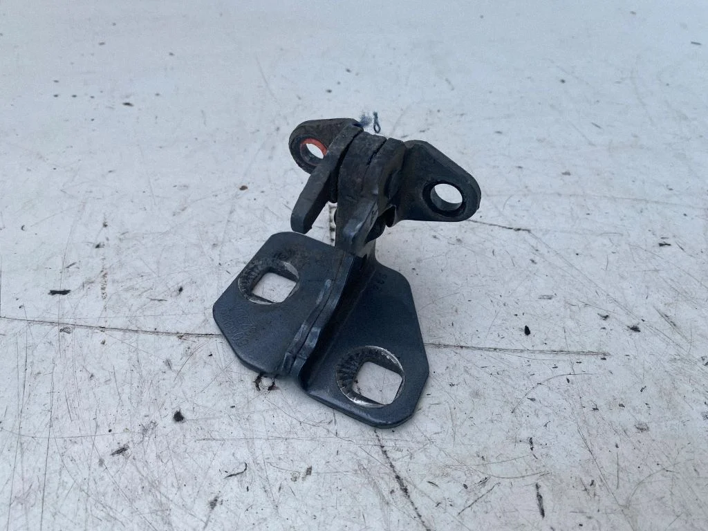 Rear door lower hinge 1120038