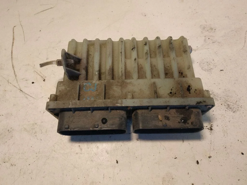 Coolant fan relay 24410130