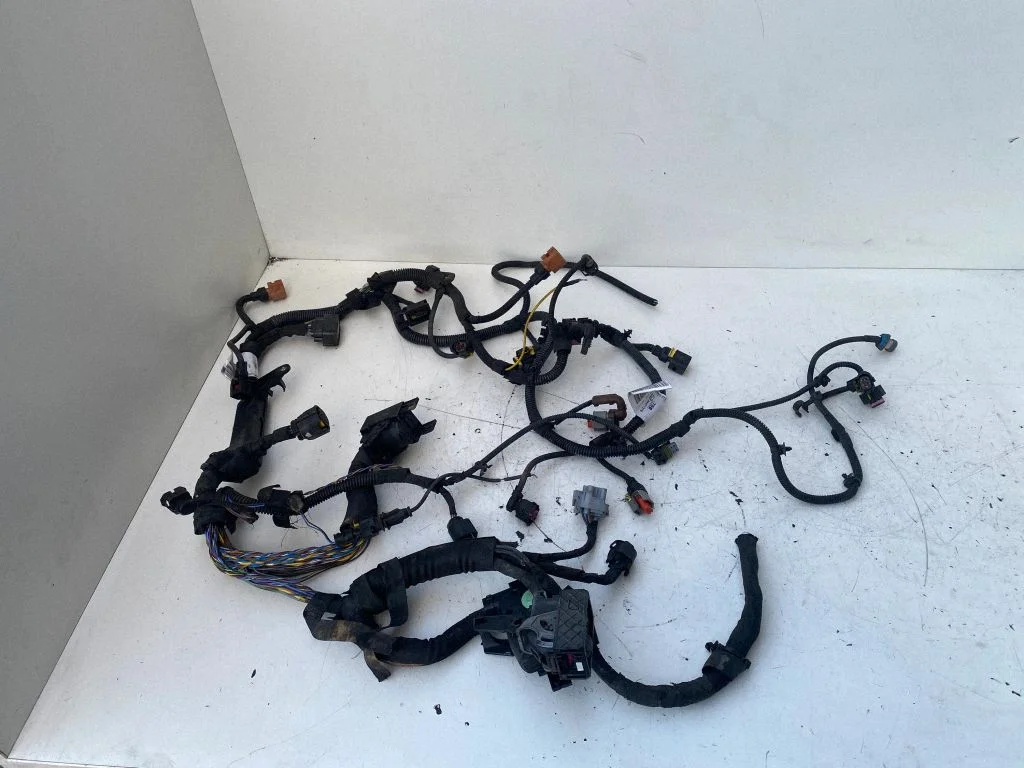 Engine installation wiring loom 55571379