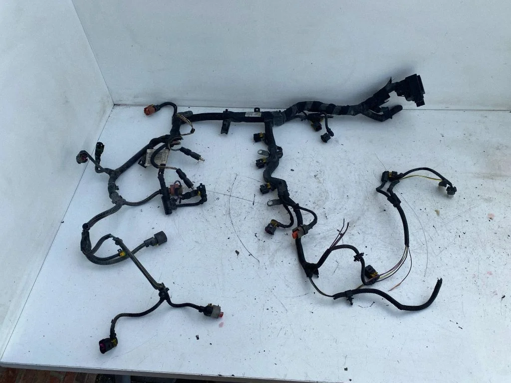 Engine installation wiring loom 55565976