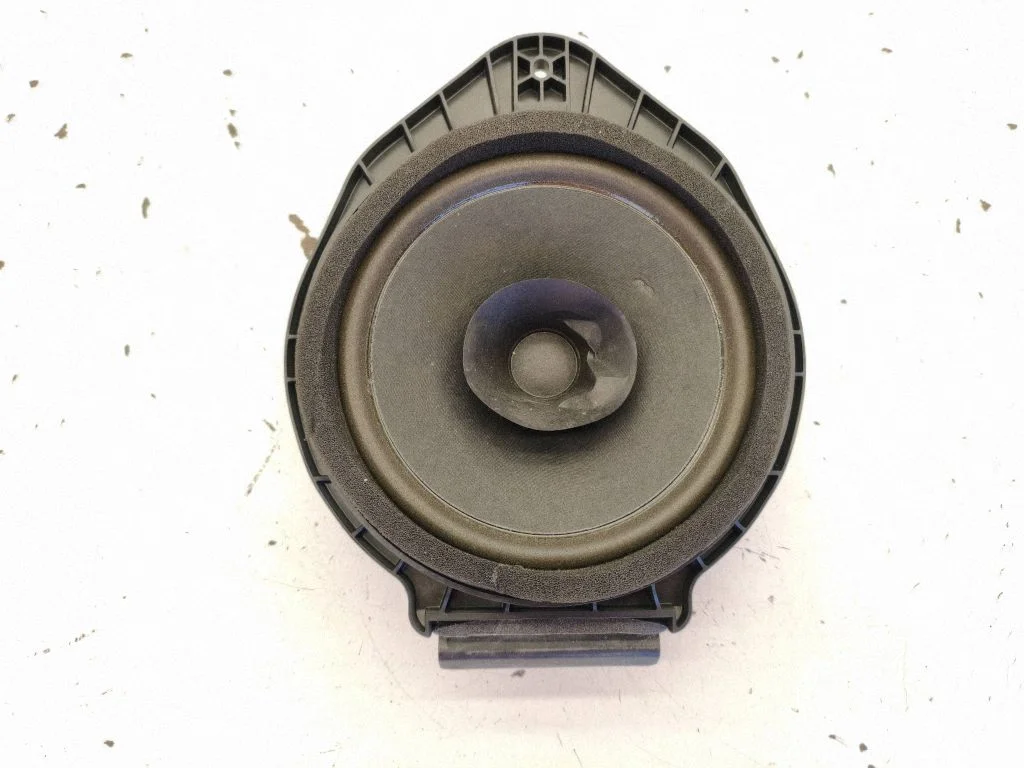 Rear door speaker 13257498