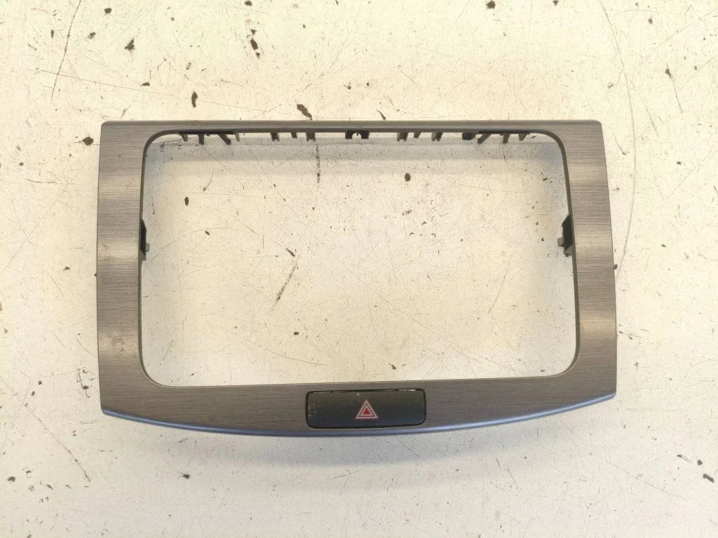 Radio/GPS head unit trim 3AA858069H