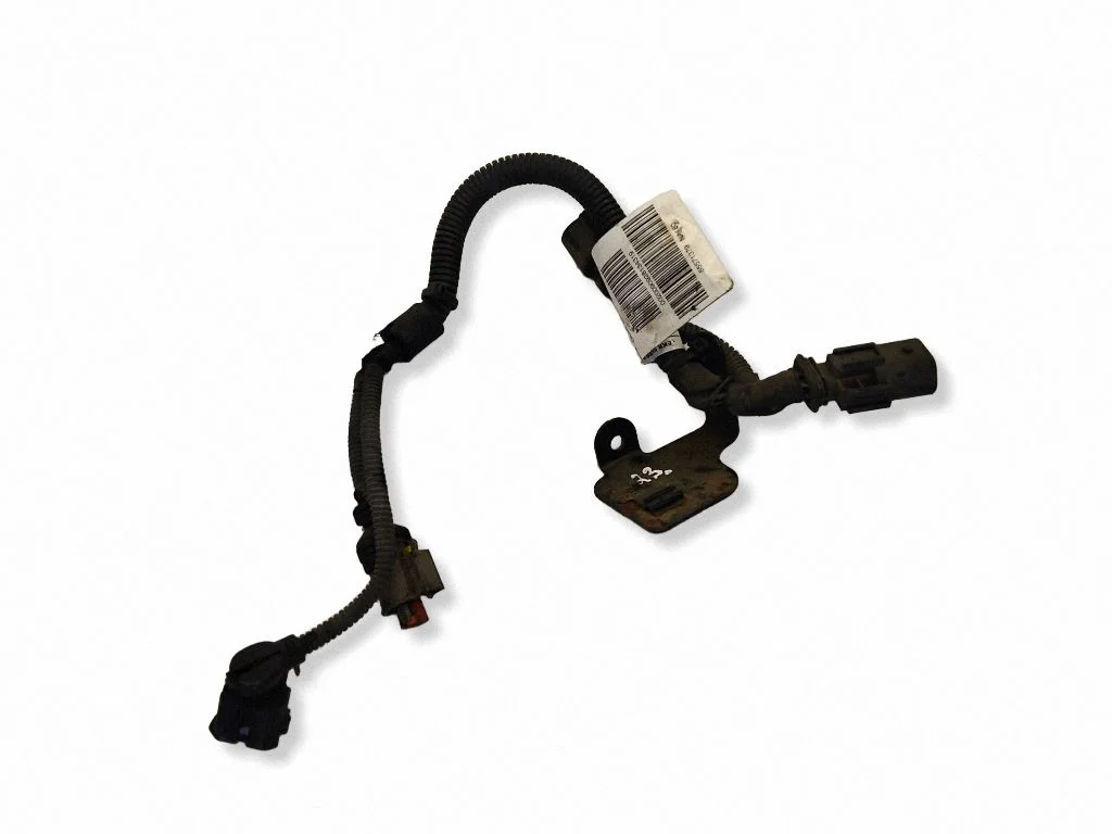 Other wiring loom 55571379