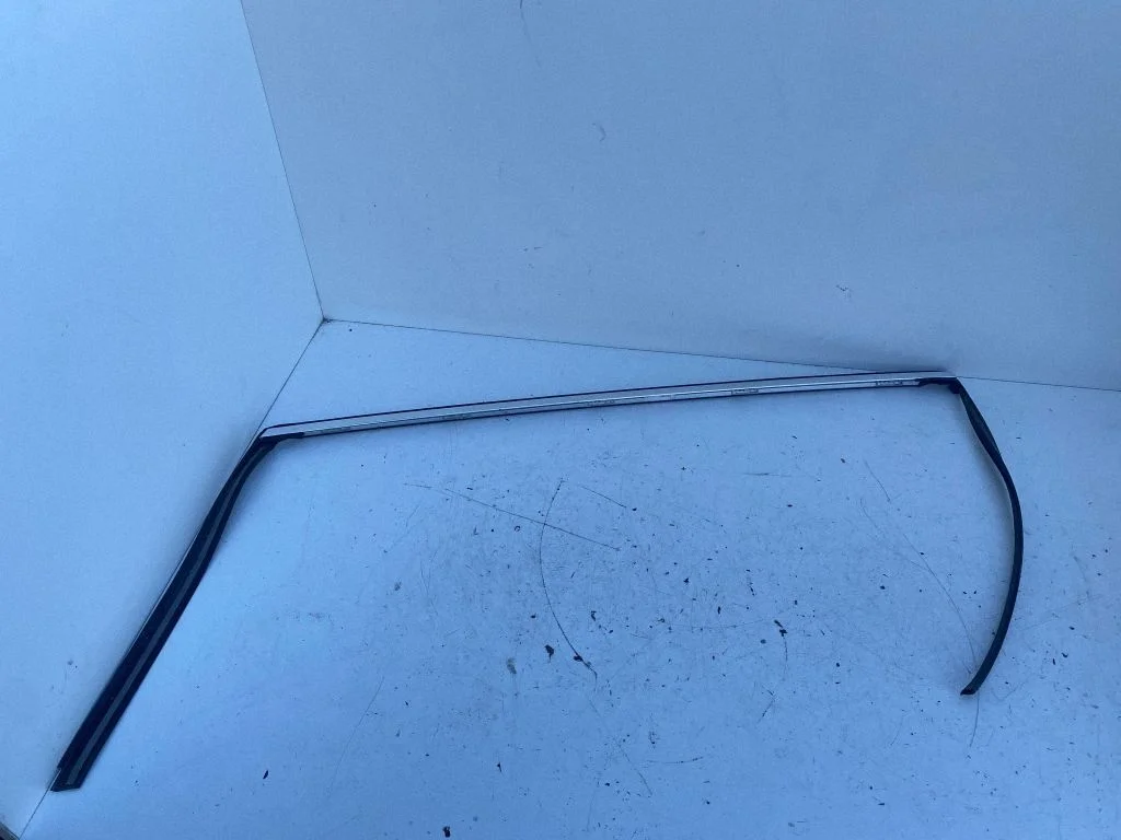 Rear door glass trim molding V2516909680