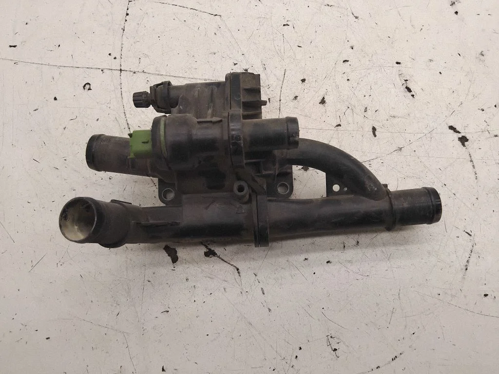 Thermostat/thermostat housing