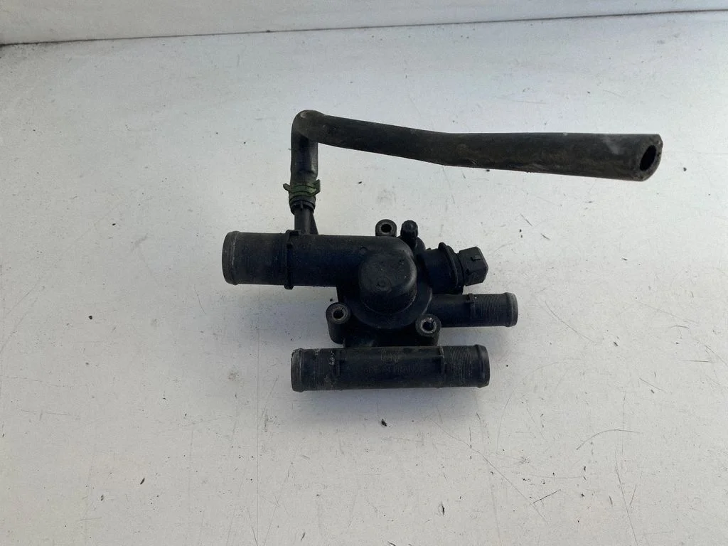 Thermostat/thermostat housing