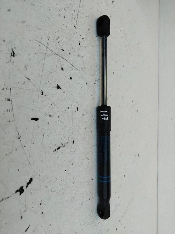 Front bonnet/hood damper/strut 2485700610N