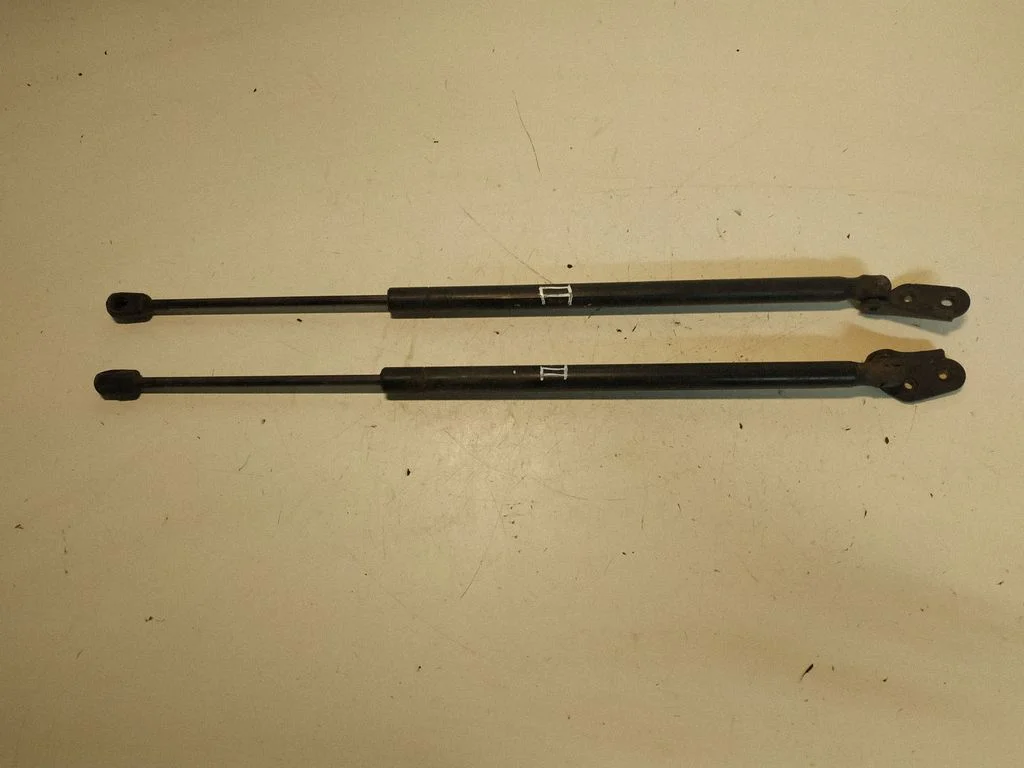 Tagaluugi gaasiamortisaator 689500F011