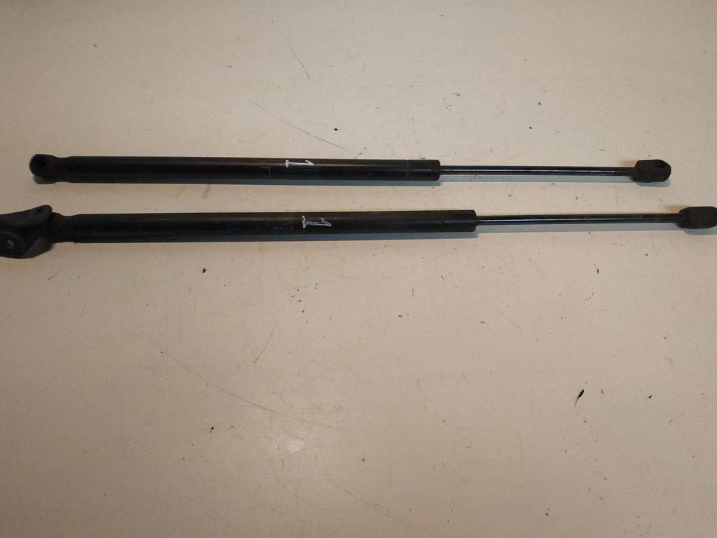 Tagaluugi gaasiamortisaator 689600F011