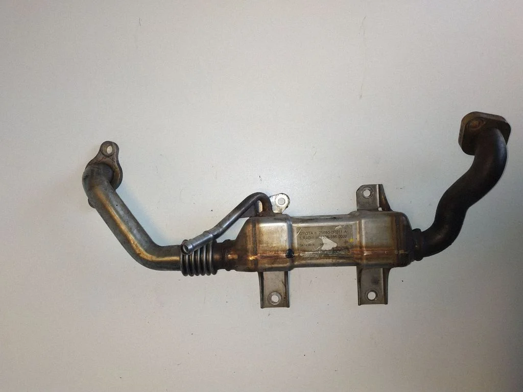EGR dzesētājs 256800R011A